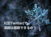 X（旧Twitter）で凍結は解除できるの？ 解決できた人の情報をもとに原因や対策、解除方法を紹介