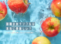 【検証】話題の氷タンフルは本当に美味しい？失敗しないコツを伝授。牛乳タンフルやヨーグルトタンフルも