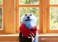 【スシローコラボで話題！】パペットスンスンとは？筆者から見たスンスンの魅力を紹介