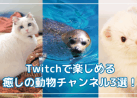 Twitchで楽しめる癒しの動物チャンネル3選！保護猫やアザラシの様子をリアルタイムでのぞいてみよう