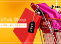 詐欺だと噂のTikTok Shopで商品を頼んでみた結果【購入レポ】