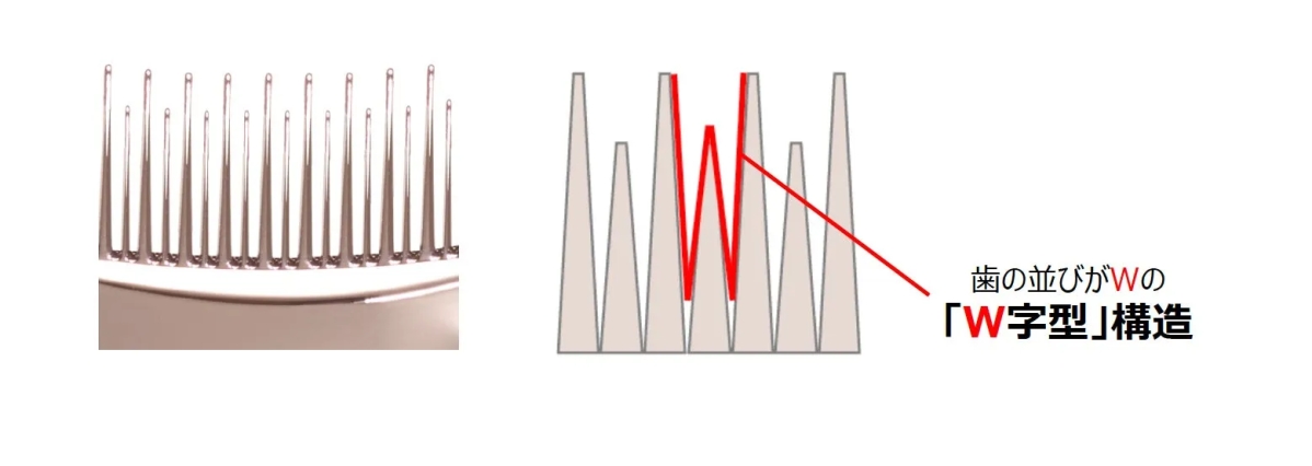 櫛の歯の並びがW字型になっていることを示す図。