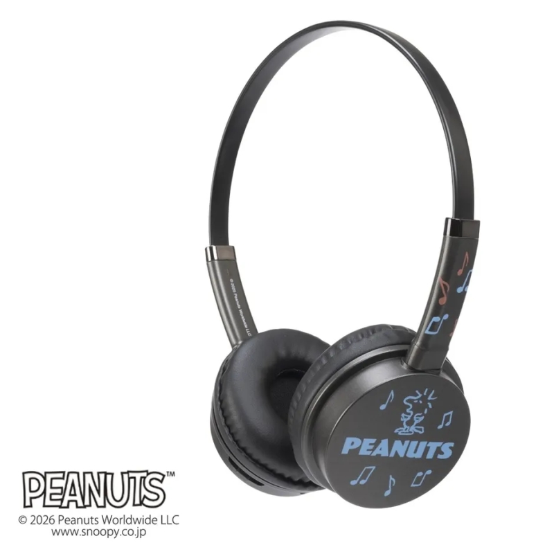 ブラックモデルの側面