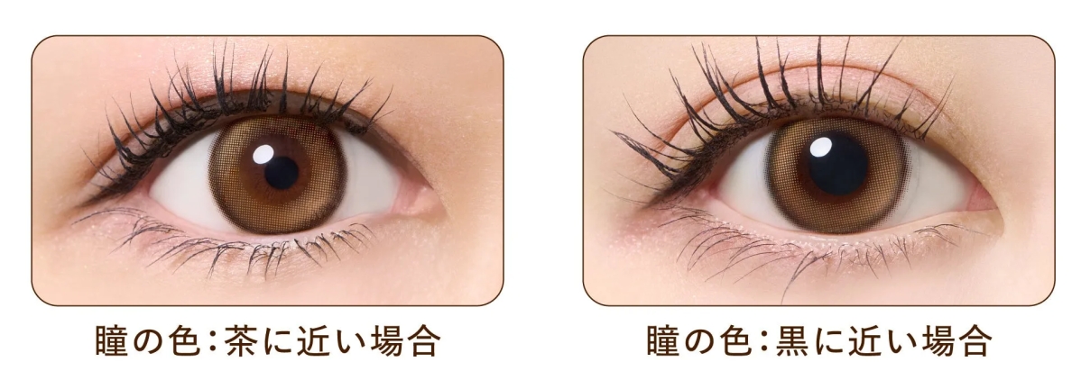 光のブラウン 瞳比較