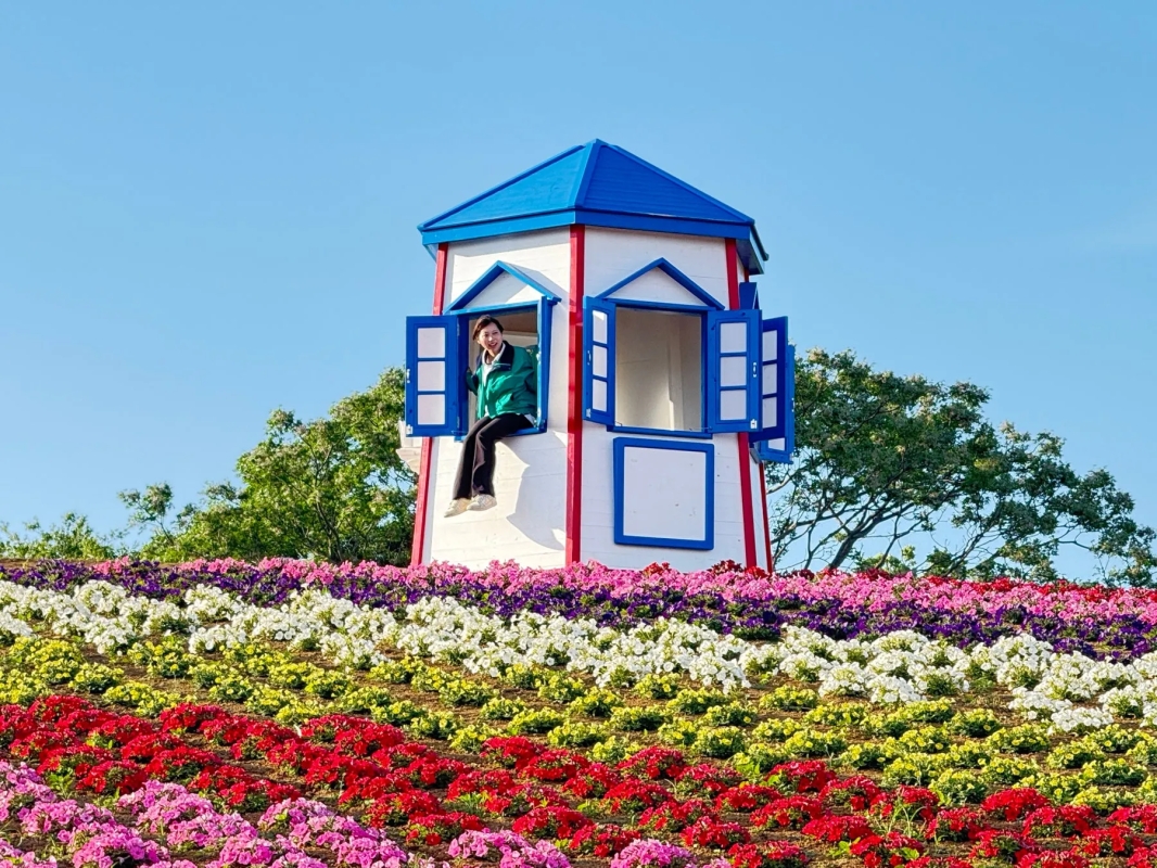 青い空の下、白い建物から女性が顔を出し、色とりどりの花が咲き乱れる様子