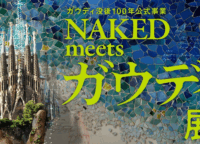 日本で33万人が熱狂!『Gaudí: Back to the Origins』ソウル開催でガウディの創造の源を体感する