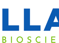 Pillar Biosciences、LC-SCRUM-Asia、およびLSI Medienceが、肺がんにおけるリキッドバイオプシースクリーニングに関する提携を発表