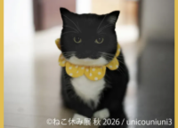 癒やし確定!「ねこ休み展 秋 2026」名古屋で限定猫グッズと新作に悶絶